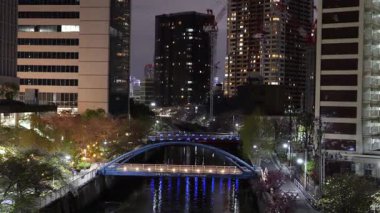 Osaki, Japonya Tokyo Gece Manzarası 2025