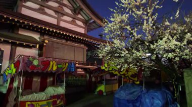 Yushima Tenmangu, Japon Gece Manzarası 2025