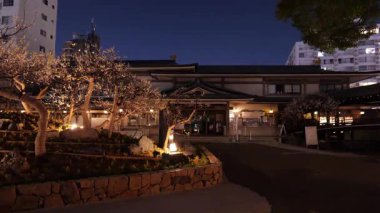 Yushima Tenmangu, Japon Gece Manzarası 2025