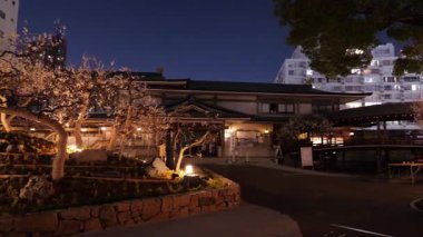 Yushima Tenmangu, Japon Gece Manzarası 2025