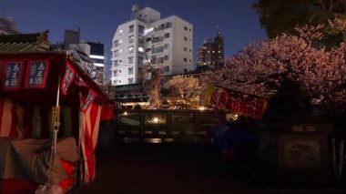 Yushima Tenmangu, Japon Gece Manzarası 2025