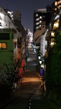 Yushima Tenmangu, Japon Gece Manzarası 2025