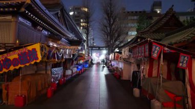 Yushima Tenmangu, Japon Gece Manzarası 2025