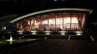 Wadakura Çeşme Parkı, Tokyo Japon Gece Manzarası 2025