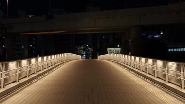 Ryukan Sakura Köprüsü, Japonya Tokyo Gece Manzarası 2025