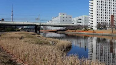 Eski Nakagawa Riverbed, Japonya Ocak 2025