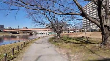 Eski Nakagawa Riverbed, Japonya Ocak 2025