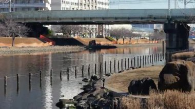 Eski Nakagawa Riverbed, Japonya Ocak 2025