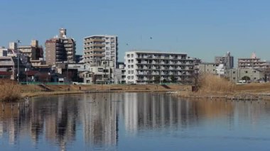 Eski Nakagawa Riverbed, Japonya Ocak 2025