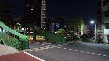 Yanagibashi gece görüşü, Japonya Tokyo Ocak 2025