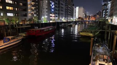 Yanagibashi gece görüşü, Japonya Tokyo Ocak 2025