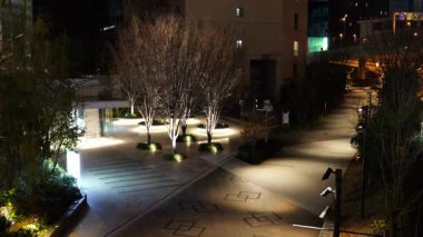 Tokyo Otemachi Gece Manzarası Ocak 2025