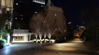 Tokyo Otemachi Gece Manzarası Ocak 2025