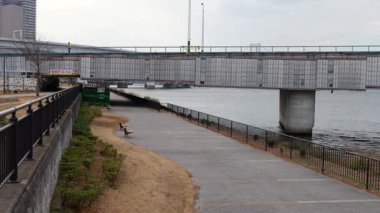 Ariake Kita Ryokudo Parkı, Tokyo Japonya Ocak 2025