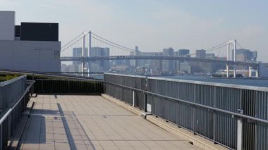 Toyosu Market Çatısı Yeşillik Meydanı Ocak 2025