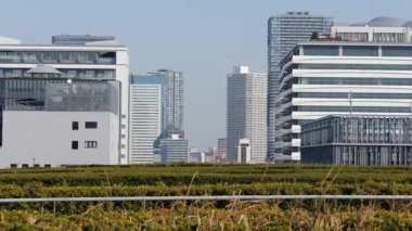 Toyosu Market Çatısı Yeşillik Meydanı Ocak 2025