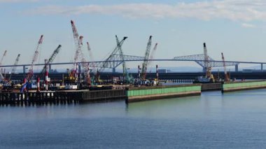 Tokyo Köprüsü, Japonya Manzarası Ocak 2025