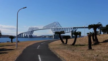 Tokyo Köprüsü, Japonya Manzarası Ocak 2025