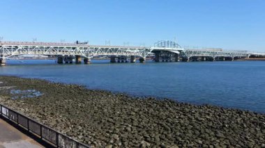 Shinkiba Ryokudou Parkı, Japonya Tokyo Ocak 2025