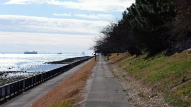 Shinkiba Ryokudou Parkı, Japonya Tokyo Ocak 2025