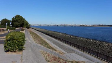 Shinkiba Ryokudou Parkı, Japonya Tokyo Ocak 2025