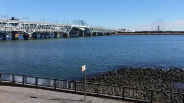 Shinkiba Ryokudou Parkı, Japonya Tokyo Ocak 2025