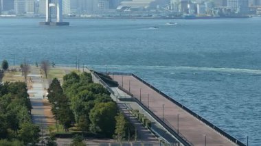 Toyosu Gururi Parkı, Tokyo Japonya Ocak 2025