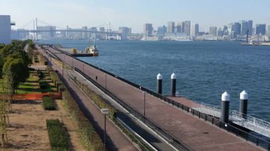 Toyosu Gururi Parkı, Tokyo Japonya Ocak 2025