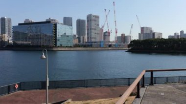 Toyosu Gururi Parkı, Tokyo Japonya Ocak 2025