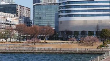 Toyosu Gururi Parkı, Tokyo Japonya Ocak 2025