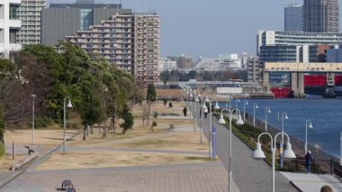 Toyosu Gururi Parkı, Tokyo Japonya Ocak 2025