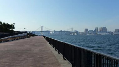 Toyosu Gururi Parkı, Tokyo Japonya Ocak 2025