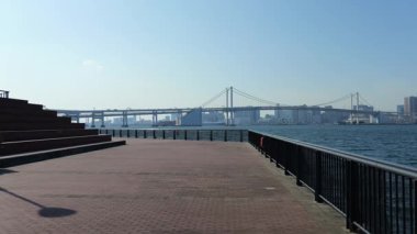 Toyosu Gururi Parkı, Tokyo Japonya Ocak 2025