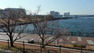 Toyosu Gururi Parkı, Tokyo Japonya Ocak 2025