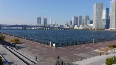 Toyosu Gururi Parkı, Tokyo Japonya Ocak 2025