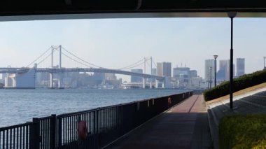 Toyosu Gururi Parkı, Tokyo Japonya Ocak 2025