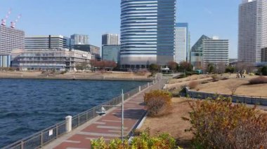 Toyosu Gururi Parkı, Tokyo Japonya Ocak 2025