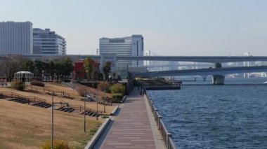 Toyosu Gururi Parkı, Tokyo Japonya Ocak 2025