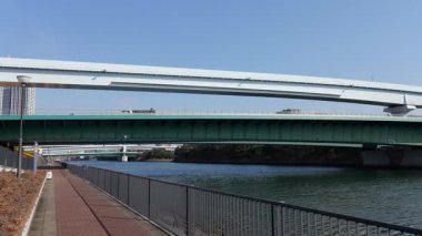 Toyosu Gururi Parkı, Tokyo Japonya Ocak 2025