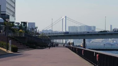 Toyosu Gururi Parkı, Tokyo Japonya Ocak 2025