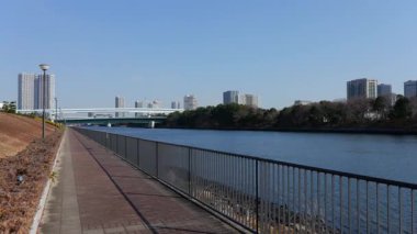 Toyosu Gururi Parkı, Tokyo Japonya Ocak 2025