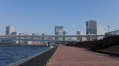 Toyosu Gururi Parkı, Tokyo Japonya Ocak 2025