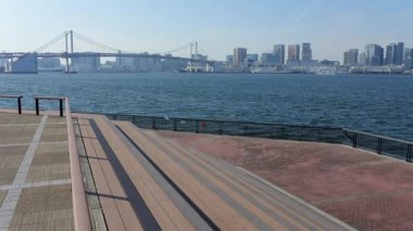 Toyosu Gururi Parkı, Tokyo Japonya Ocak 2025