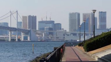 Toyosu Gururi Parkı, Tokyo Japonya Ocak 2025