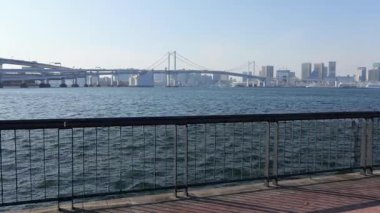 Toyosu Gururi Parkı, Tokyo Japonya Ocak 2025