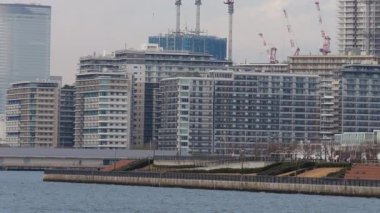 Toyosu Gururi Parkı, Tokyo Japonya Ocak 2025