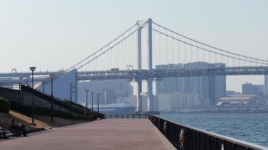 Toyosu Gururi Parkı, Tokyo Japonya Ocak 2025