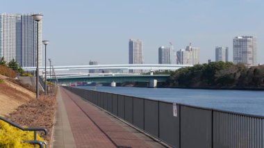 Toyosu Gururi Parkı, Tokyo Japonya Ocak 2025