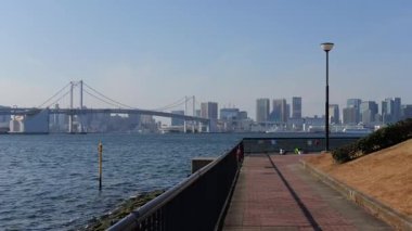 Toyosu Gururi Parkı, Tokyo Japonya Ocak 2025