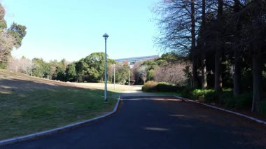 Tatsuminomori Ryokudo Parkı, Japonya Tokyo 2025